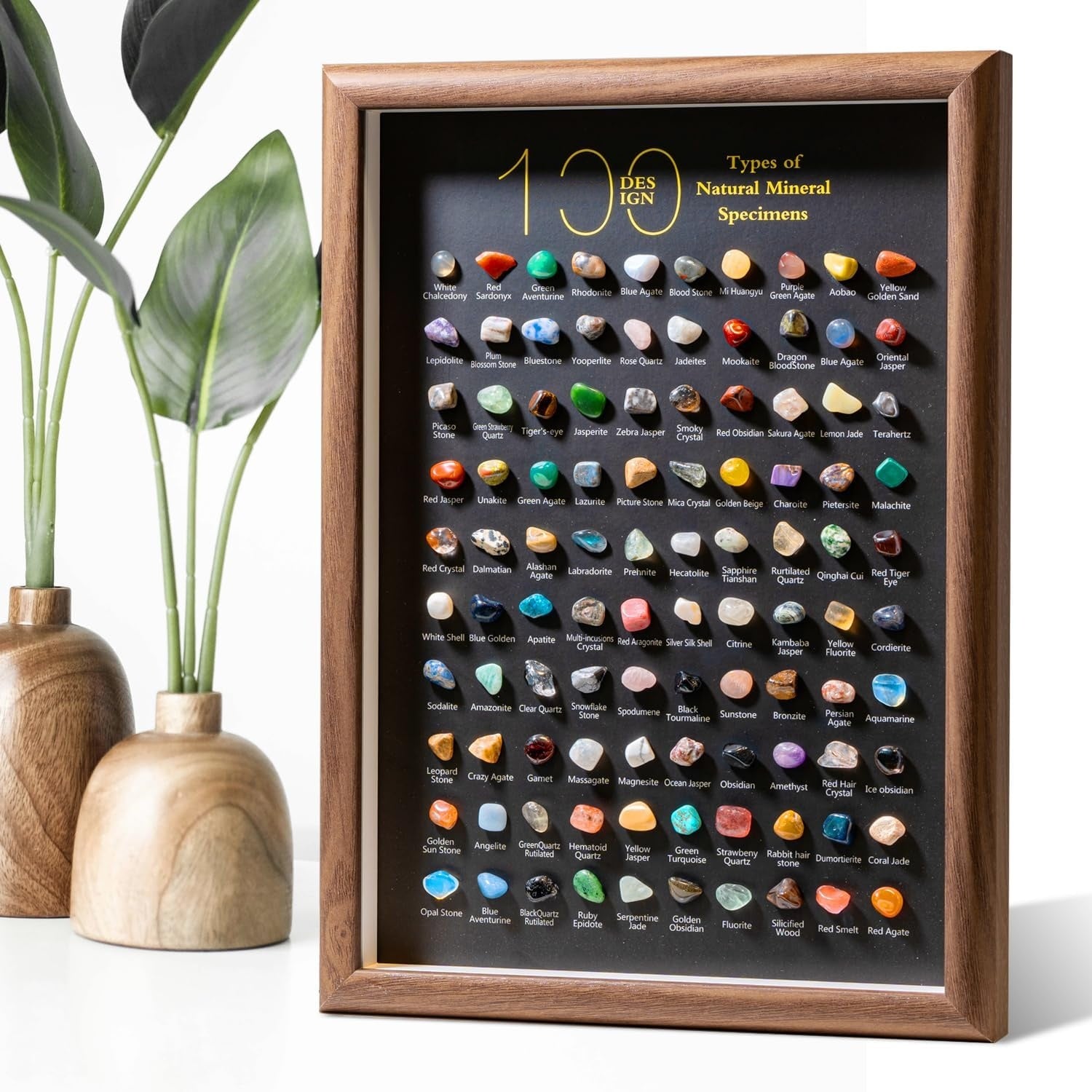 Mineral Specimen Shadow Box