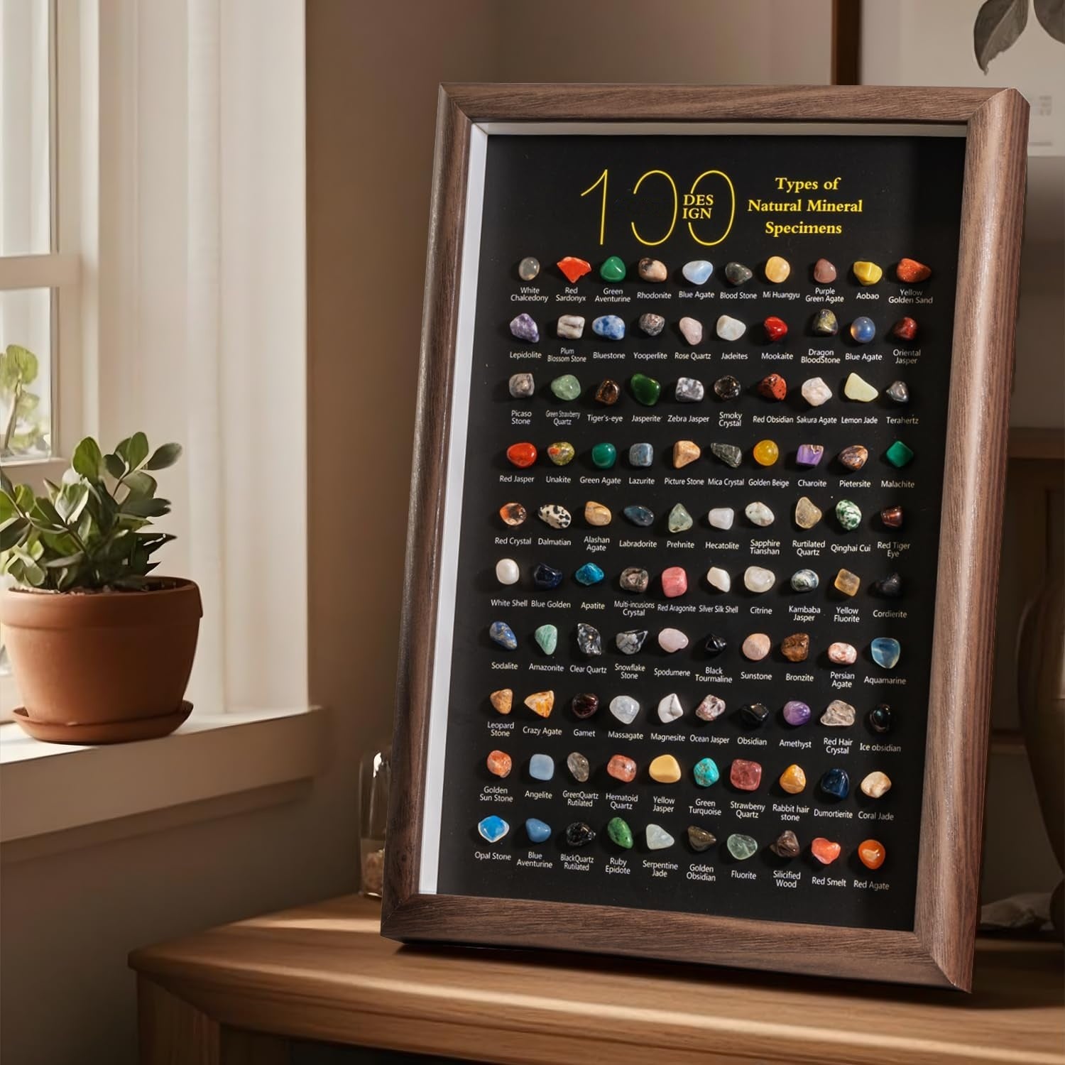 Mineral Specimen Shadow Box